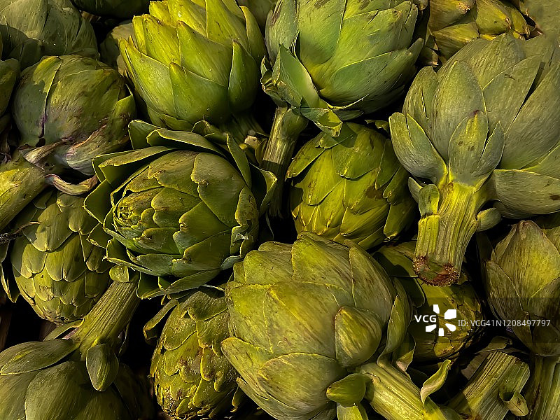 新鲜有机朝鲜蓟图片素材