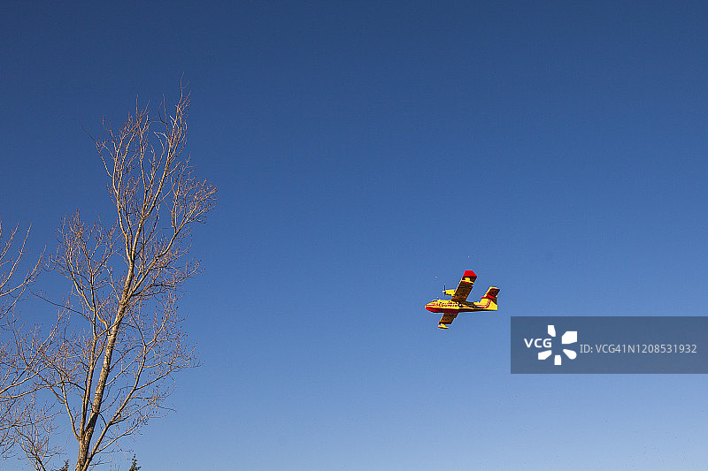 森林火灾图片素材