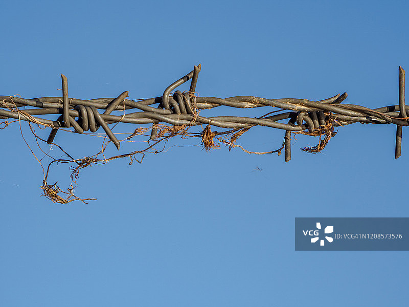 蓝天背景下的带刺铁丝网抽象摄影图片素材