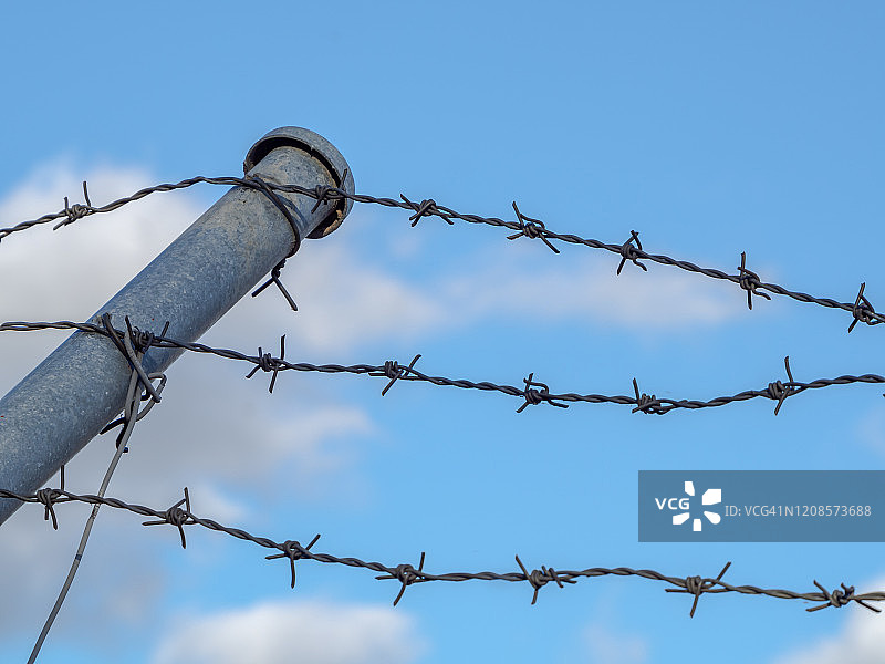 蓝天背景下的带刺铁丝网抽象摄影图片素材