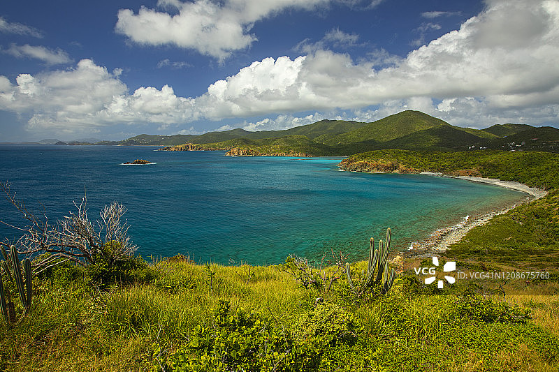 热带岛屿上的仙人掌图片素材