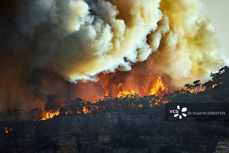 澳大利亚蓝山森林火灾，山脊上火焰腾起，黄昏时分阳光照亮烟云图片素材