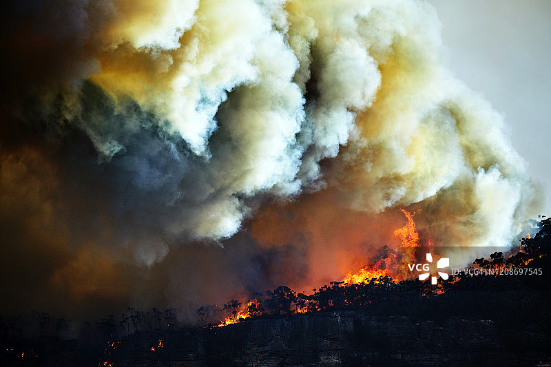 澳大利亚蓝山森林火灾，山脊上火焰腾起，黄昏时分阳光照亮烟云图片素材
