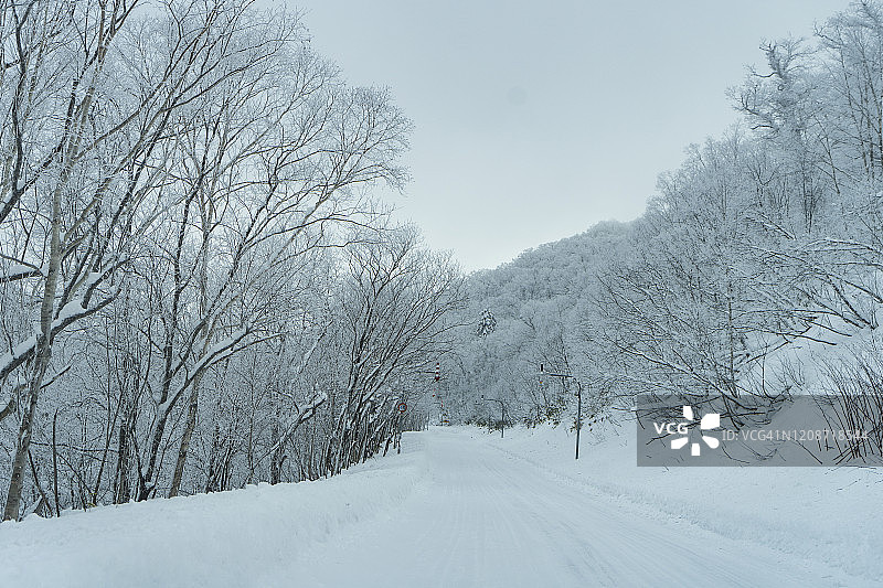 2020年日本北海道二世古附近被白雪覆盖的二世古森林和村庄的壮丽景色图片素材
