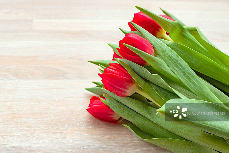 红色郁金香花束三八国际妇女节俯视木质背景图片素材