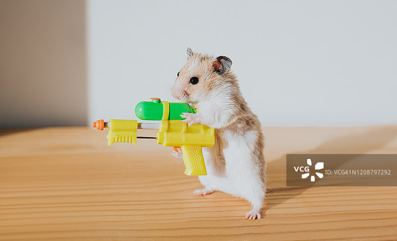 拿着水枪的仓鼠图片素材