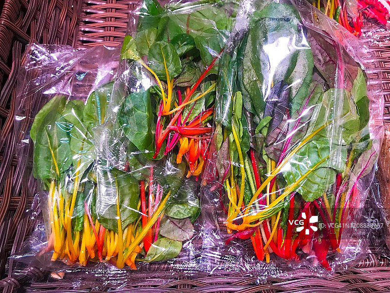 叶用甜菜图片素材