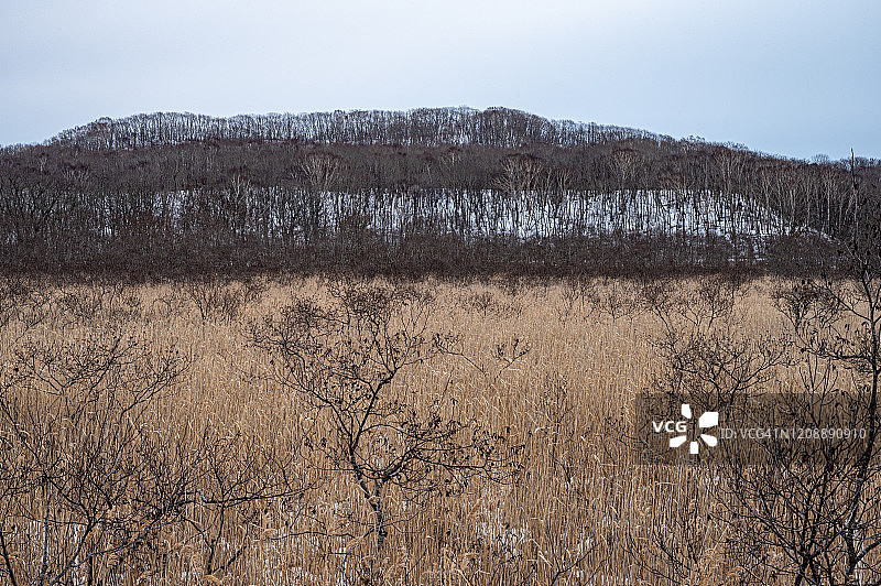 钏路湿地图片素材