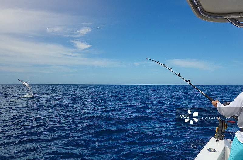 与剑鱼搏斗图片素材