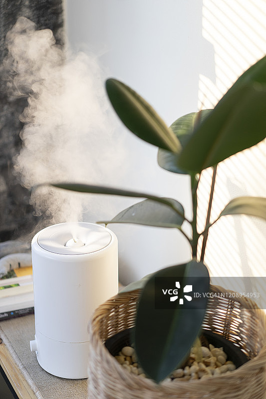 加湿器和空气净化树特写，窗边光线图片素材