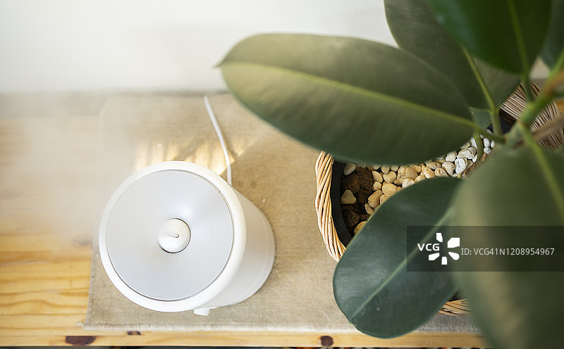 加湿器和空气净化树特写，窗边光线图片素材