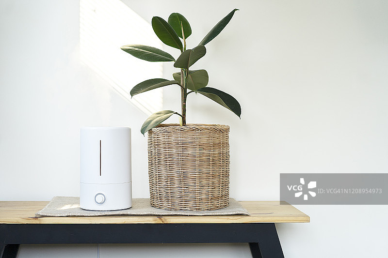加湿器和空气净化树特写，窗边光线图片素材
