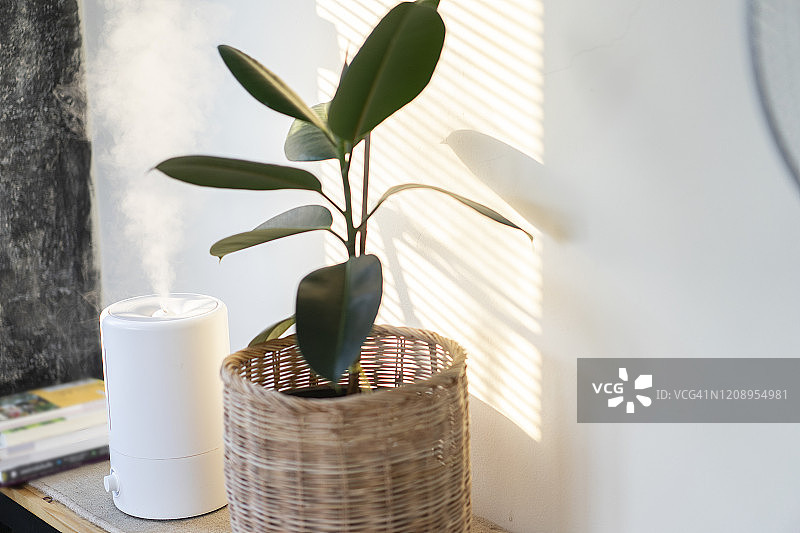 加湿器和空气净化树特写，窗边光线图片素材