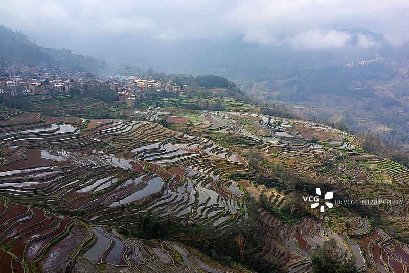 哈尼族村寨与广阔梯田风光图片素材
