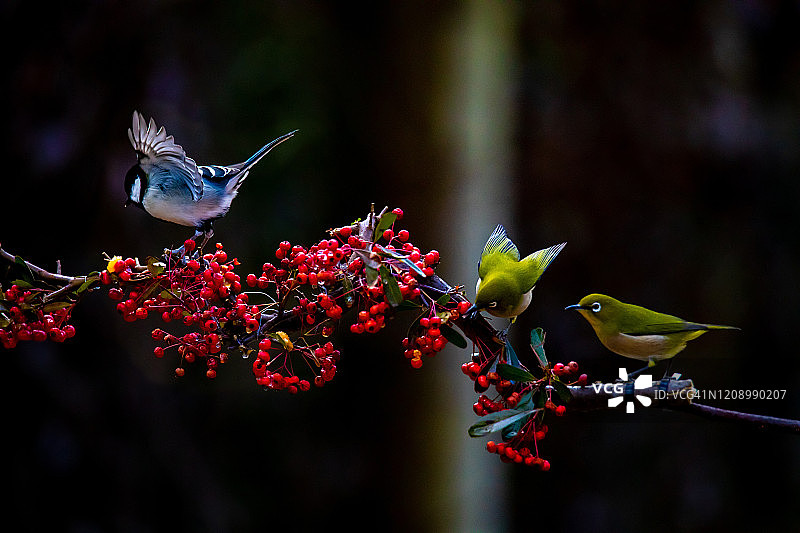 韩国大邱白眼图片素材