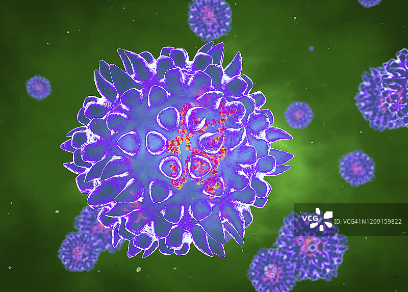 轮状病毒，图示图片素材
