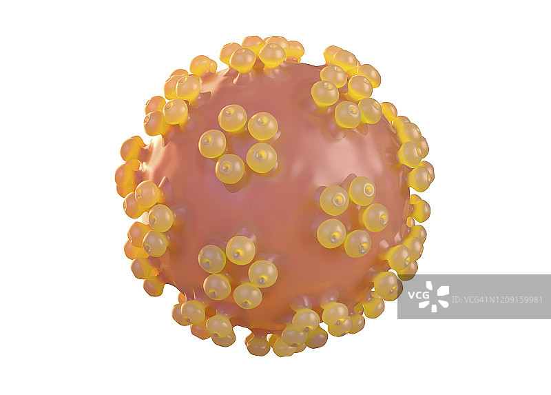 人乳头瘤病毒插图图片素材