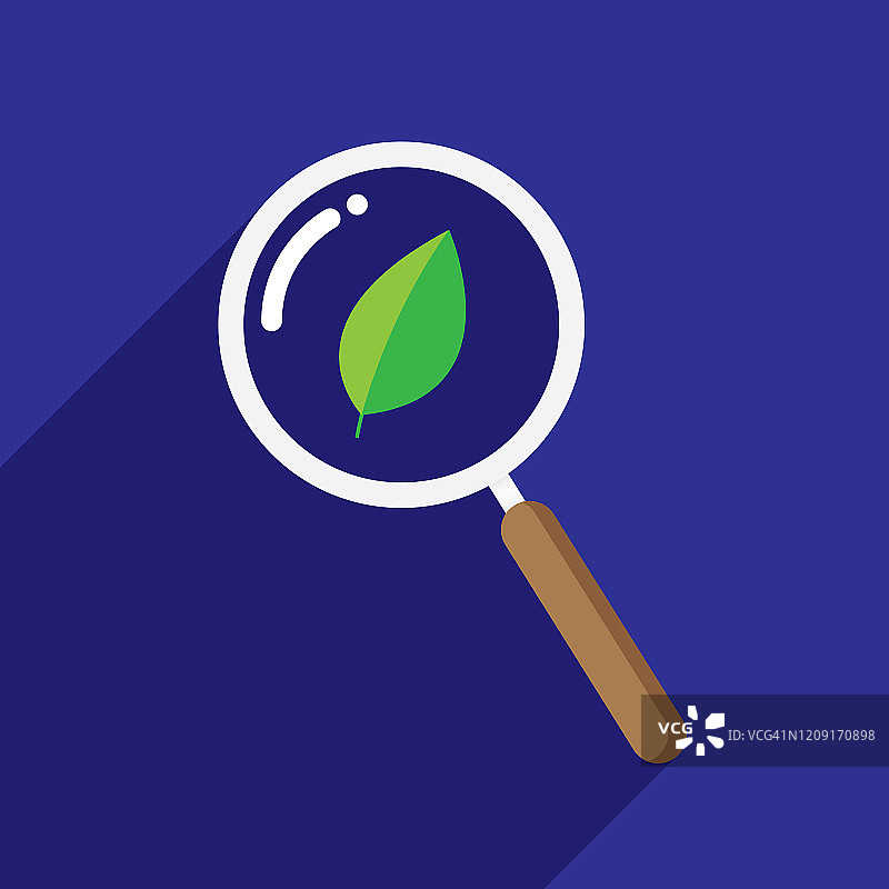 扁平风格的放大镜叶子图标图片素材