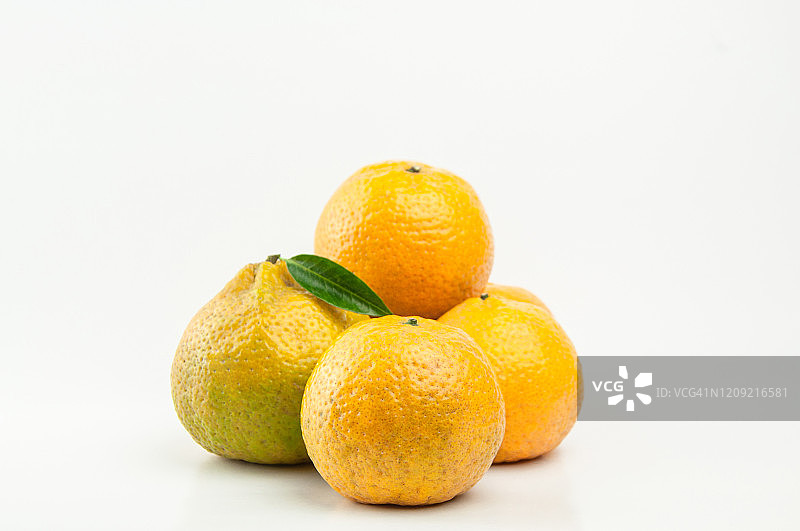 柑橘水果，白色背景上的新会柑橘图片素材