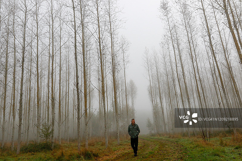 雾林中的孤独男子图片素材