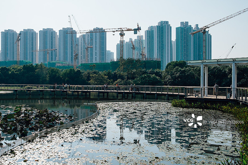 香港湿地公园图片素材
