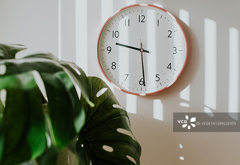 粉色时钟和植物图片素材