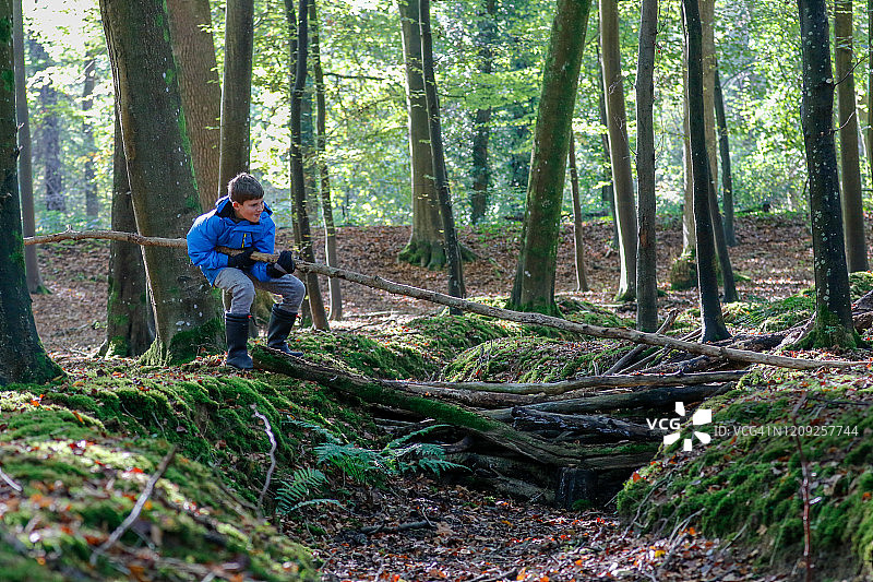 男孩在森林里搭建简易桥梁图片素材
