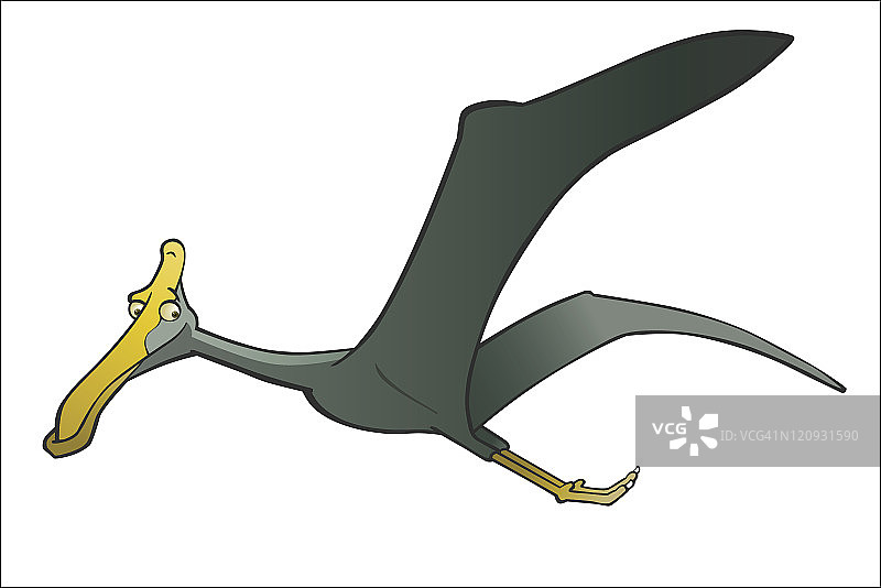 有趣的翼龙图片素材