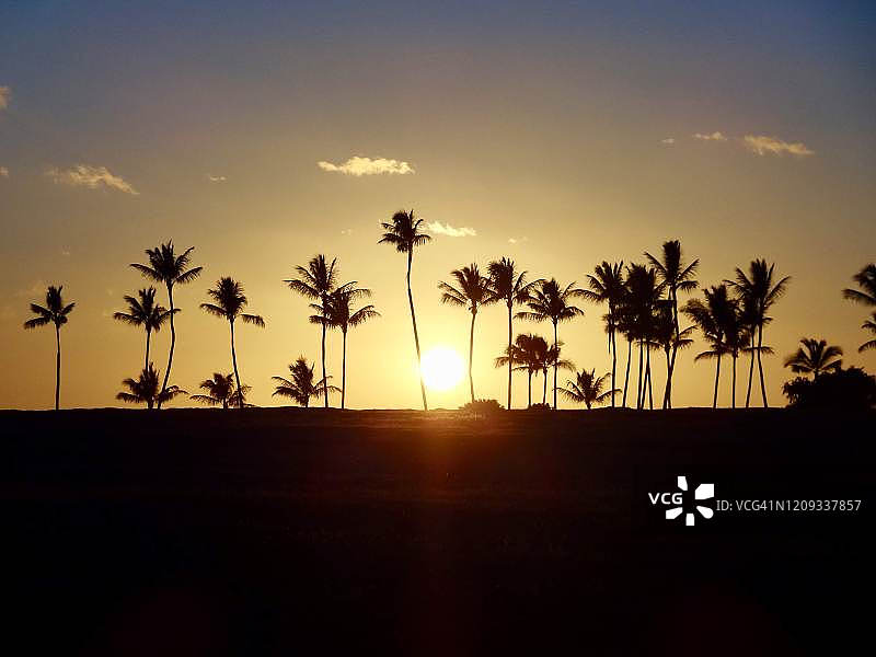 黄色日落下的夏威夷棕榈树图片素材
