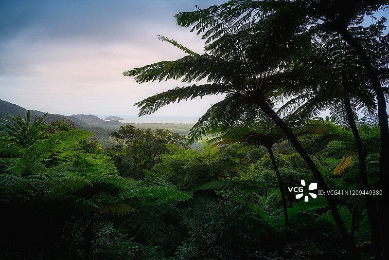 昆士兰州丹翠雨林中的亚历山德拉山瞭望台图片素材