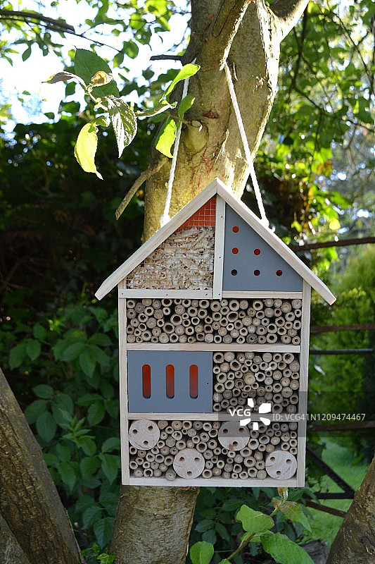 昆虫旅馆图片素材