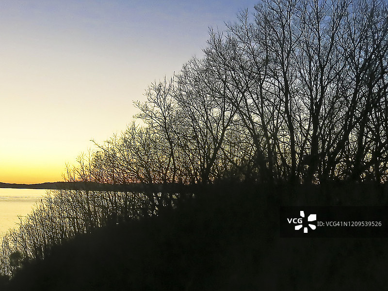 卑诗省海岸悬崖日落时分的树木轮廓图片素材