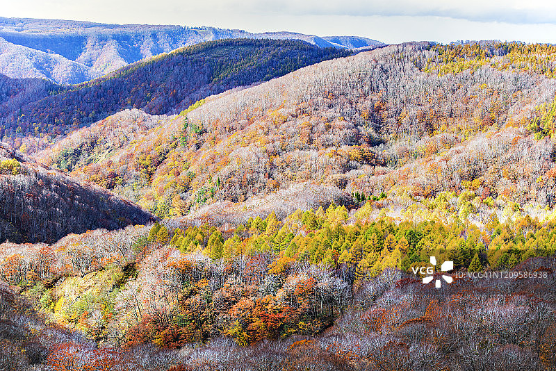 日本青森县八甲田山秋季的彩色山景图片素材