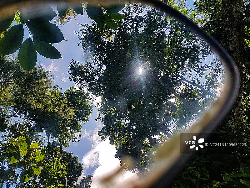 从镜子里看到的树木图片素材