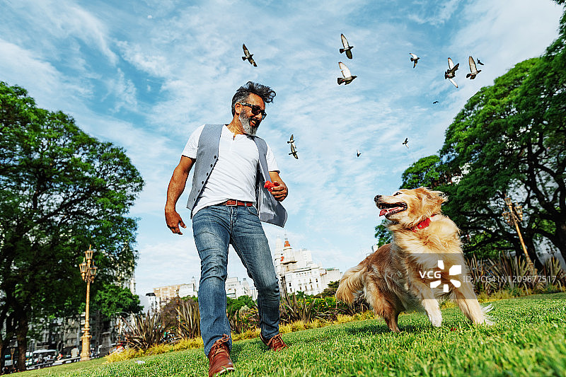 夕阳下，中年男人带着金毛猎犬在公园散步图片素材