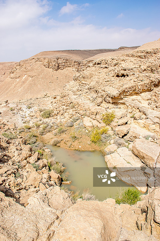 沙漠水坑图片素材