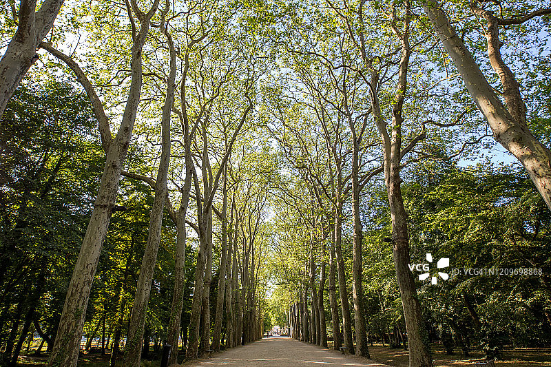 舍农索城堡花园的壮丽通道 - 法国卢瓦尔河谷图片素材
