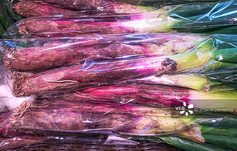 红色葱图片素材