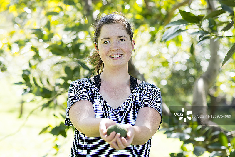 我摘的鳄梨图片素材