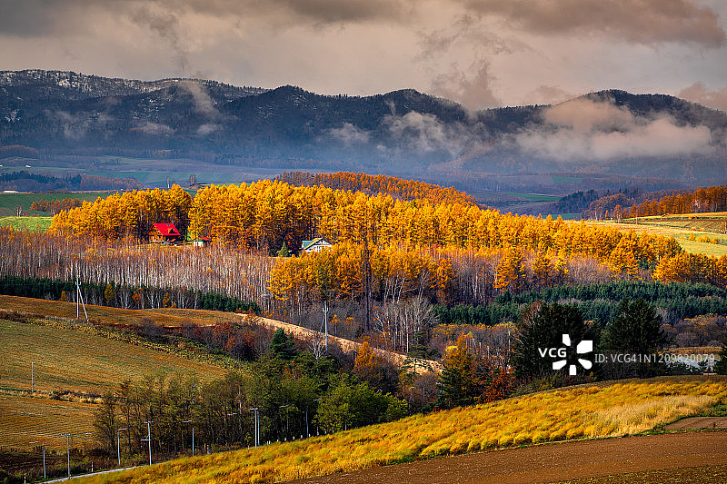 秋季的美瑛，日本北海道图片素材