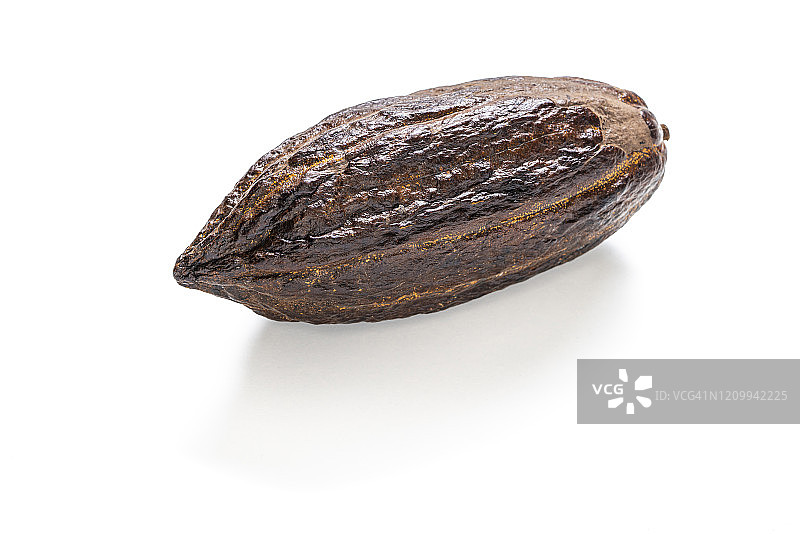 白色背景下的可可豆和可可粉，用于制作巧克力图片素材