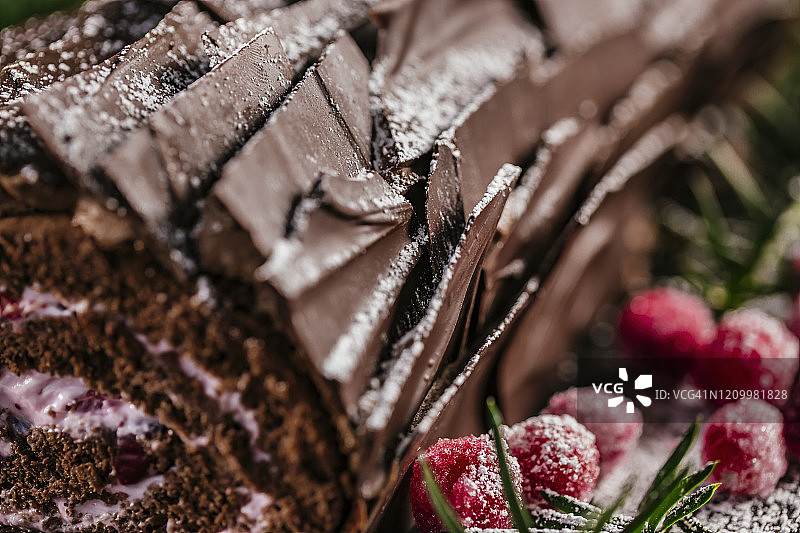 圣诞树桩蛋糕上的巧克力碎图片素材