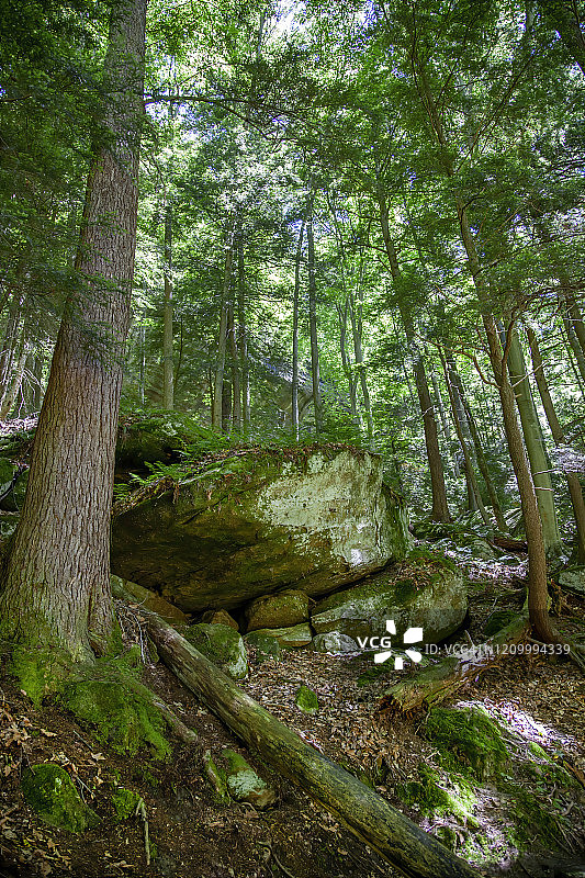 霍金山州立公园图片素材