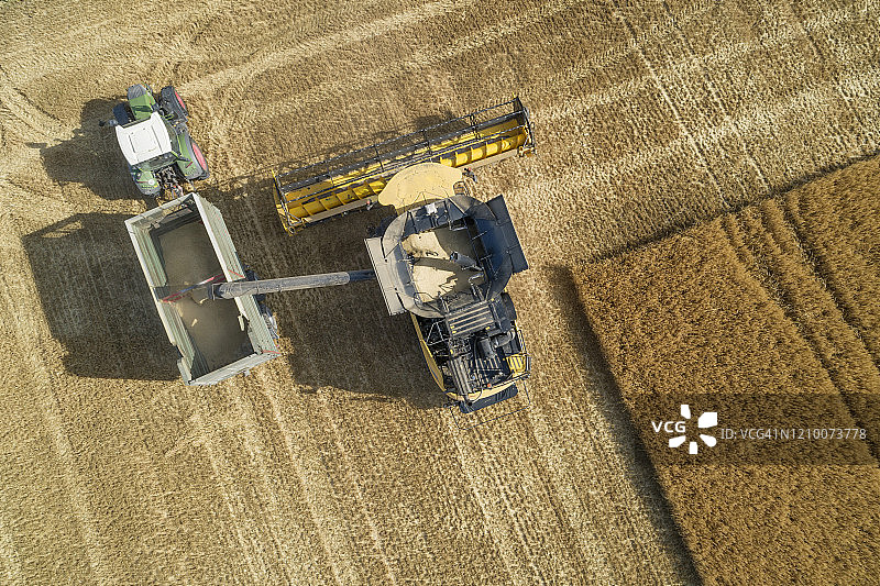 联合收割机向拖拉机上的拖车卸粮图片素材