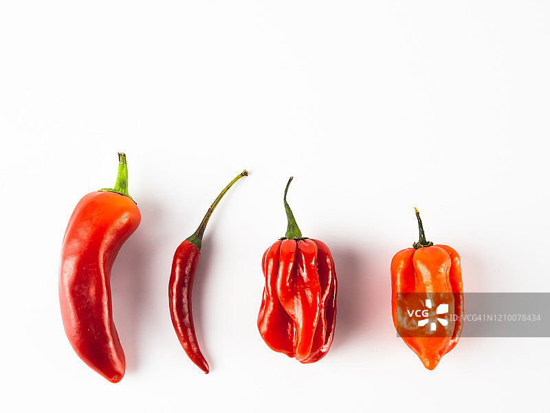 辣味辣椒，白色背景图片素材