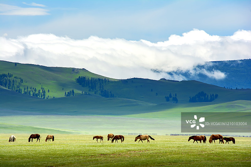 蒙古草原的壮丽景色图片素材