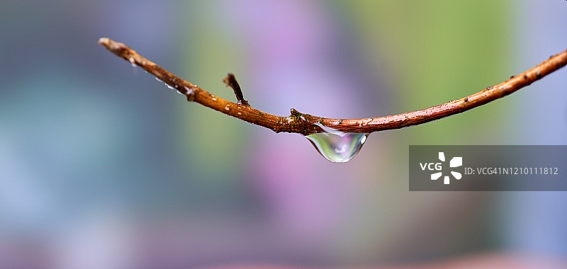 水滴特写图片素材
