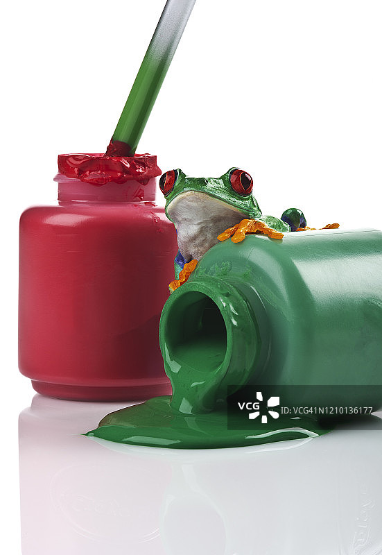 红眼树蛙与红绿颜料图片素材