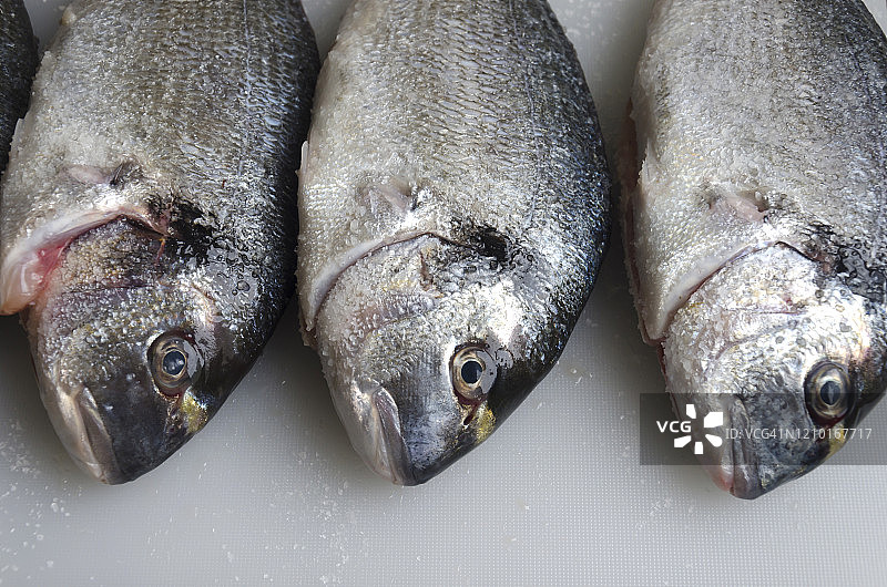 新鲜金头鲷图片素材