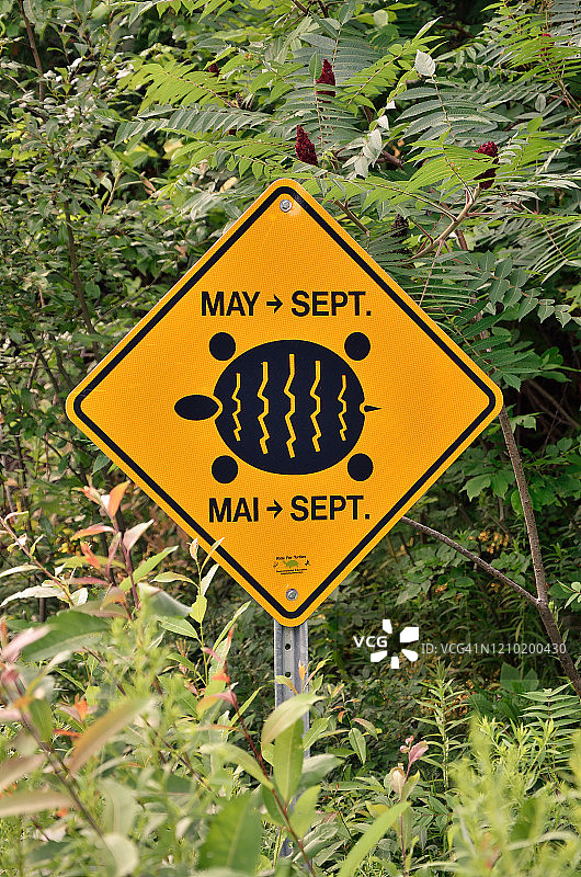 海龟穿越道路标志图片素材